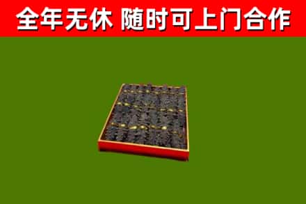 朔城回收海参